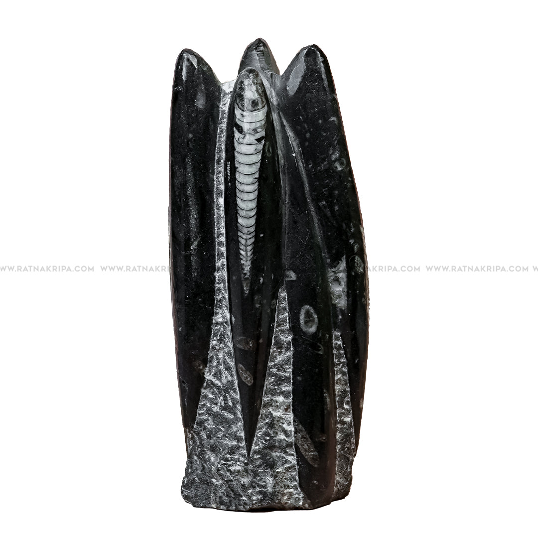 Premium Kuber Stone - 1.131 kg