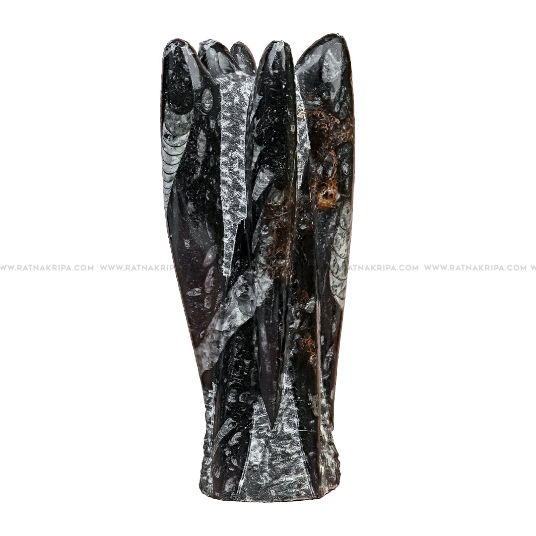 Premium Kuber Stone - 1.418 kg