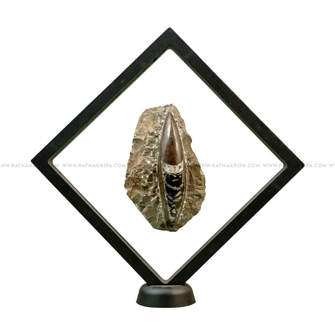 Premium Kuber Stone - 259gm