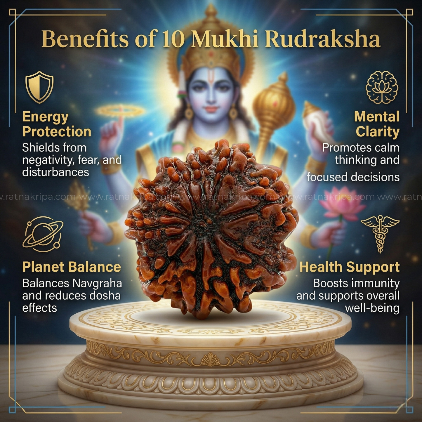 Natural 10 Mukhi Rudraksha (Origin: Nepal) - Blessed By Lord Vishnu