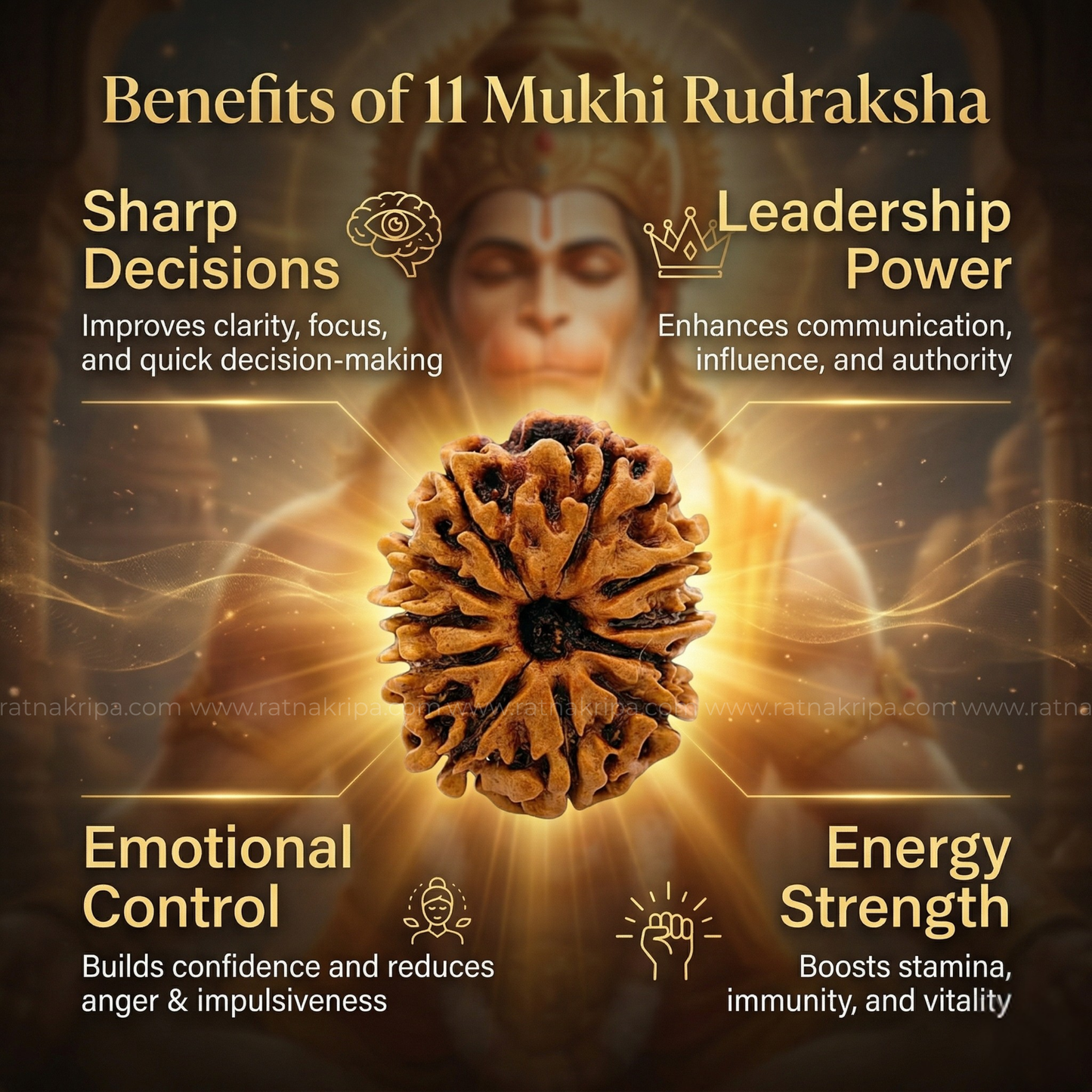 Natural 11 Mukhi Rudraksha (Origin: Nepal) - Blessed By Lord Hanuman