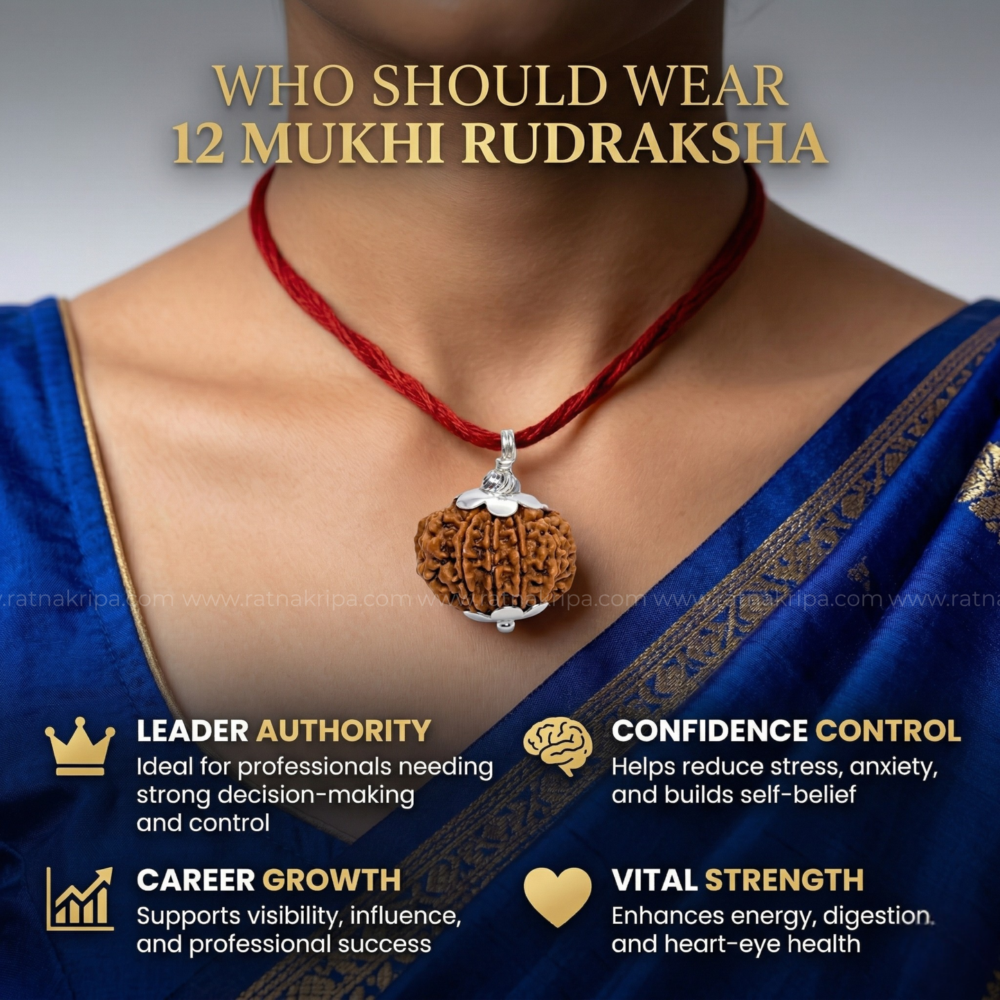 Natural 12 Mukhi Rudraksha (Origin: Nepal) - Blessed By Lord Surya
