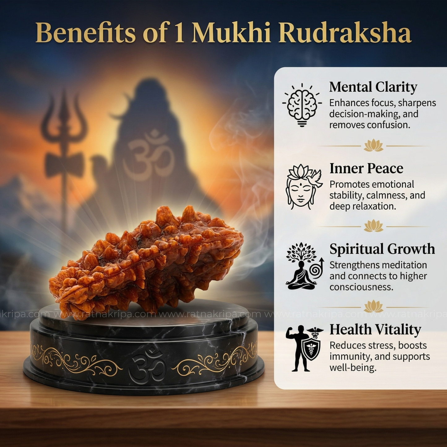1 Mukhi Rudraksha (Origin: Himalaya) - Blessed by Lord Shiva