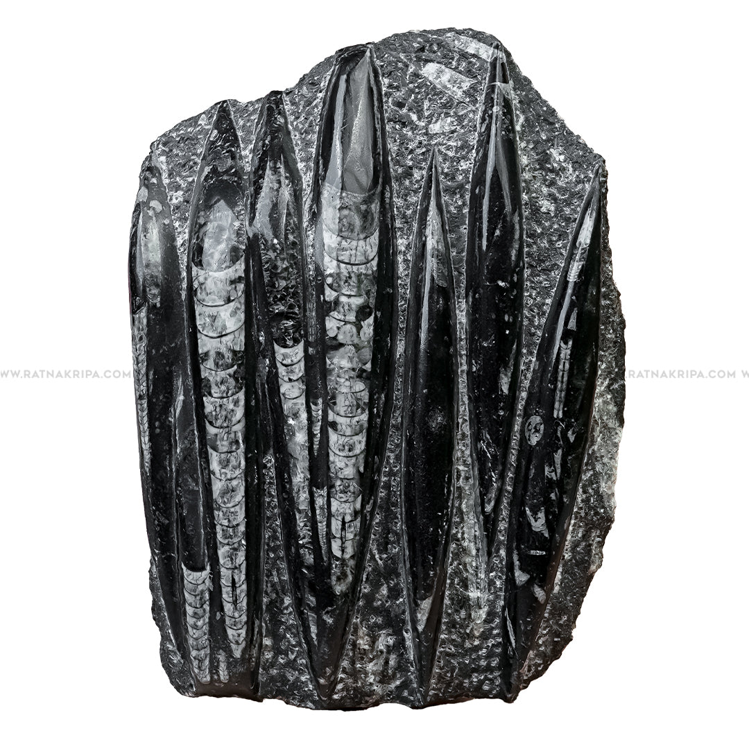 Premium Kuber Stone - 2.607 kg