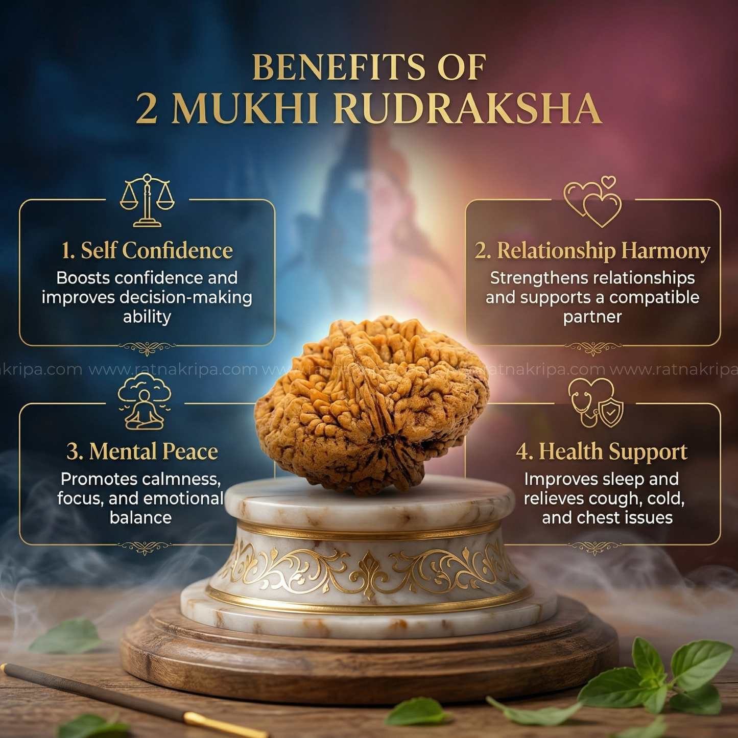 2 Mukhi Rudraksha (Origin: Himalaya) - Blessed by Lord Ardhanareeshwar
