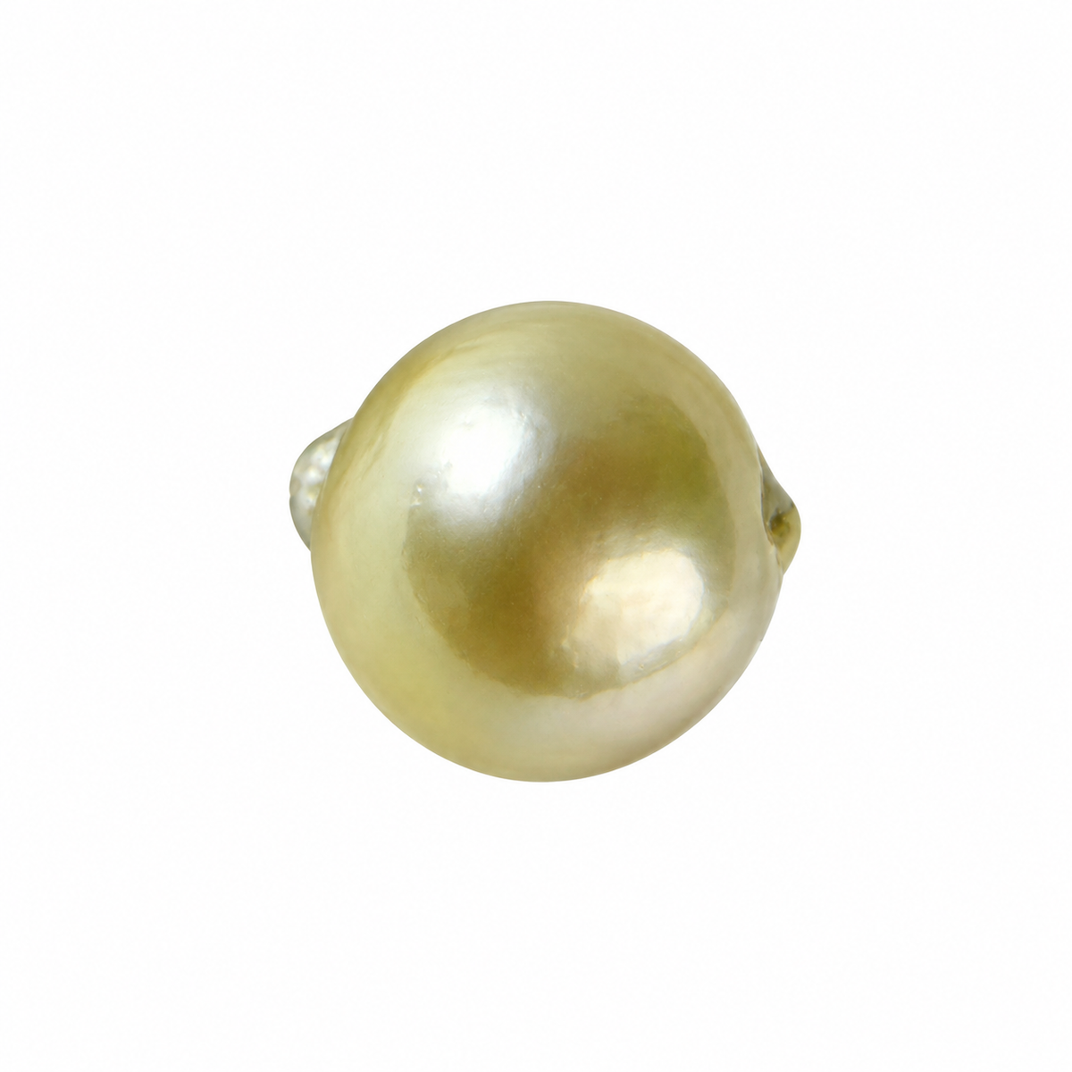 South Sea Keshi Pearl – 8.665 Ratti