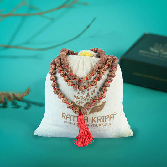 6 Mukhi Rudraksha Mala
