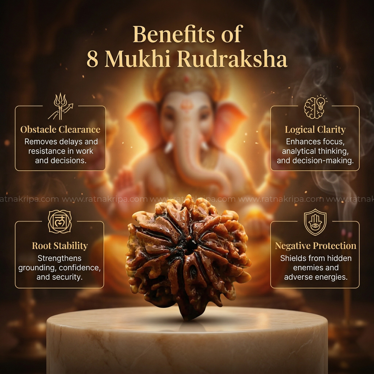 Natural 8 Mukhi Rudraskha (Origin: Nepal) - Blessed By Lord Ganesh
