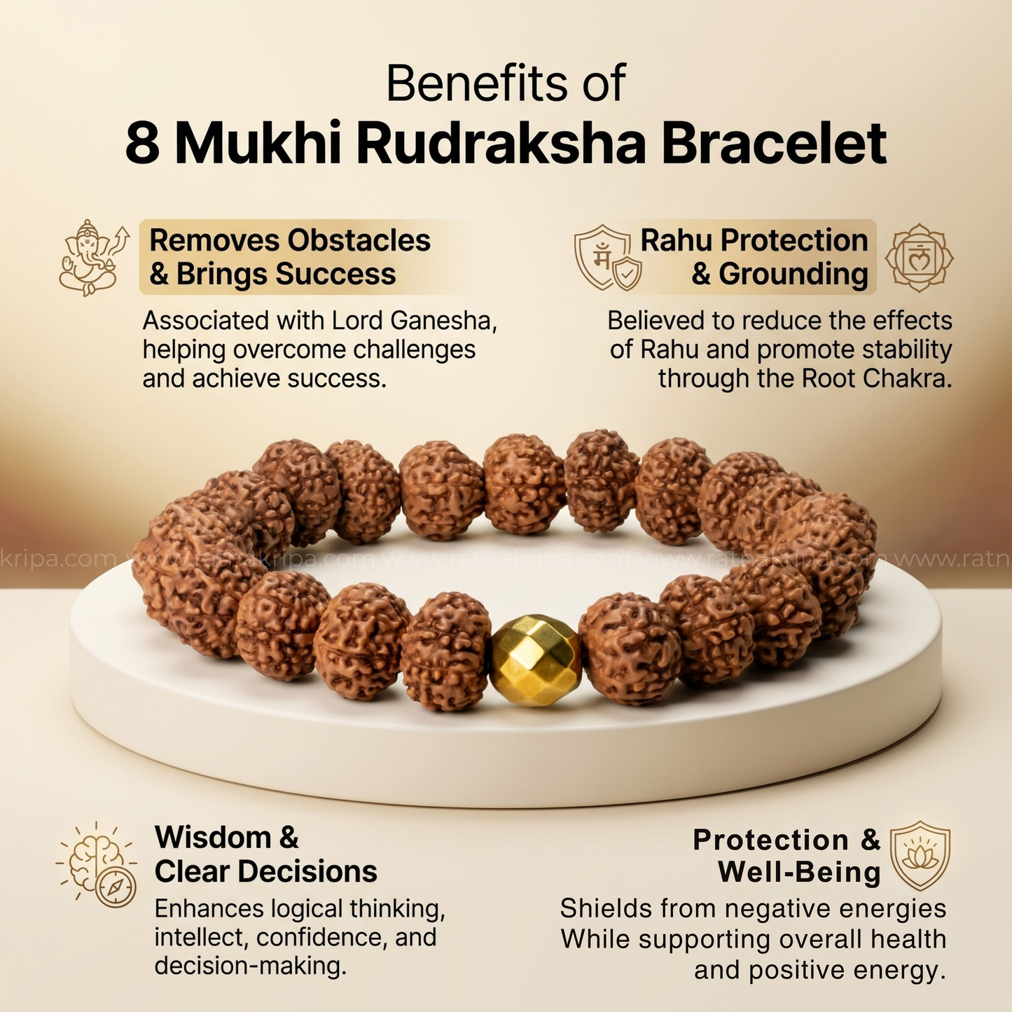 8 Mukhi Rudraksha Bracelet