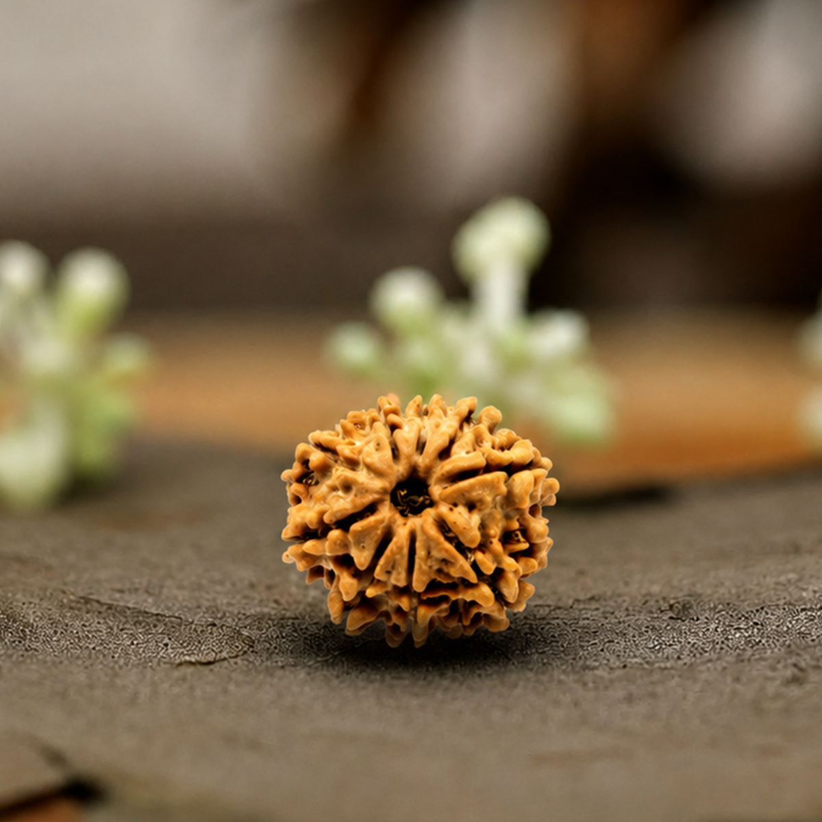 Natural 9 Mukhi Rudraksha (Origin: Nepal) - Blessed By Devi Durga