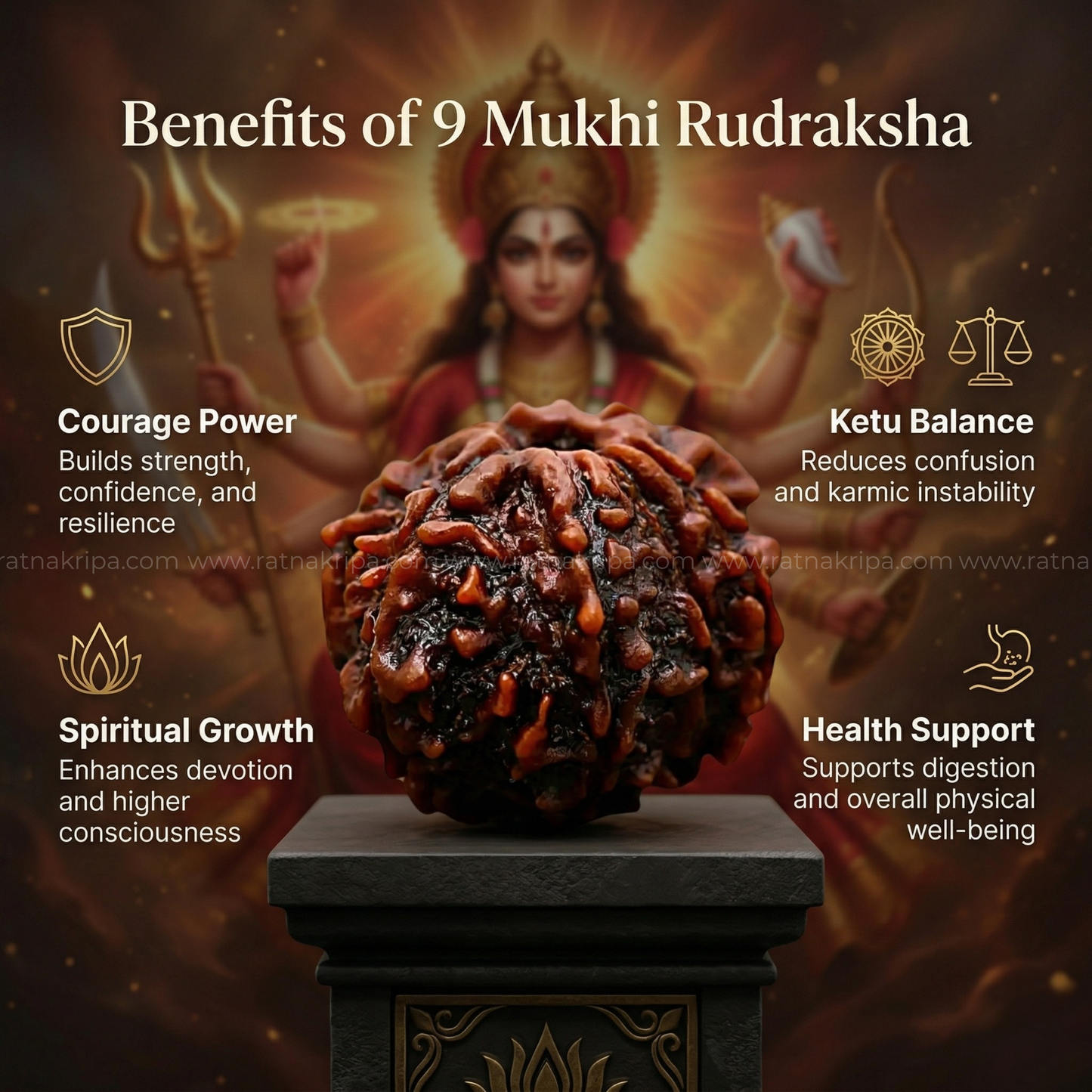 Natural 9 Mukhi Rudraksha (Origin: Nepal) - Blessed By Devi Durga