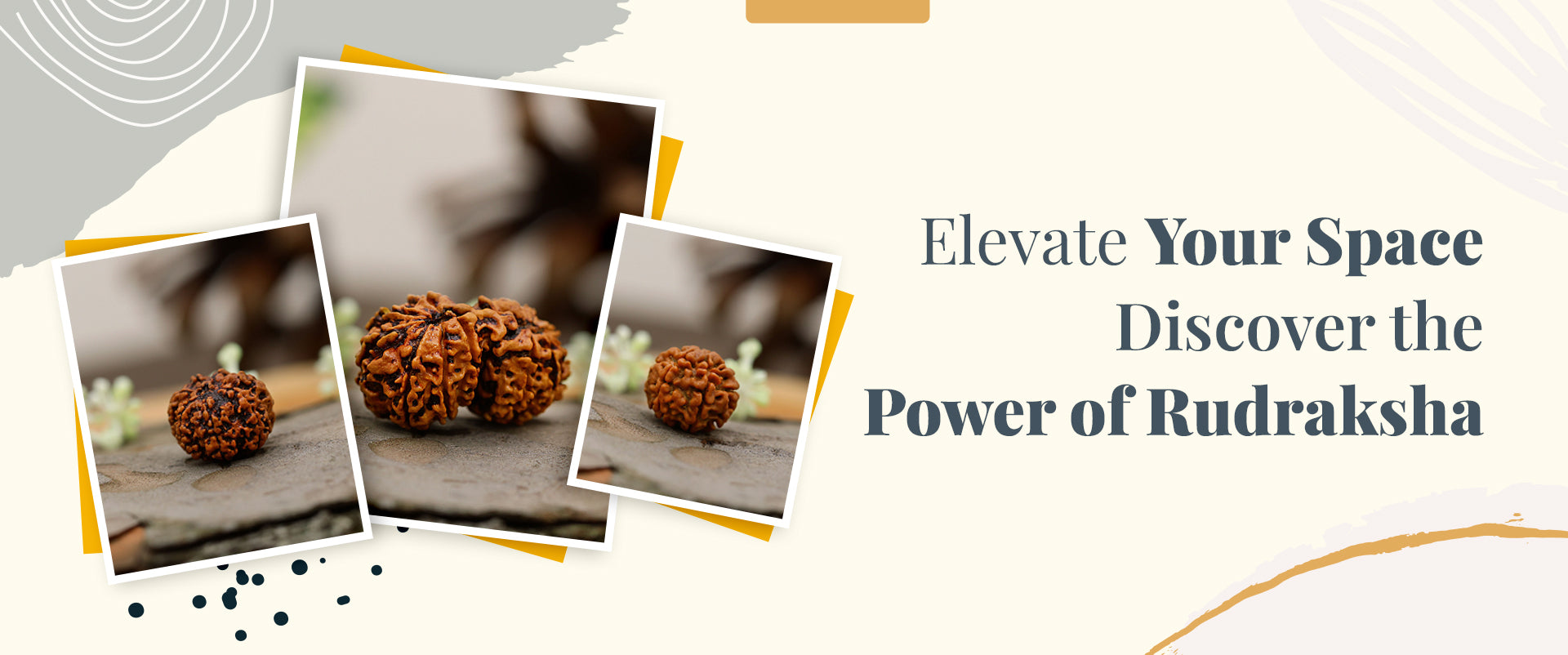 Rudraksha power