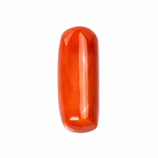 Italian Red Coral Moonga  – 11 Ratti