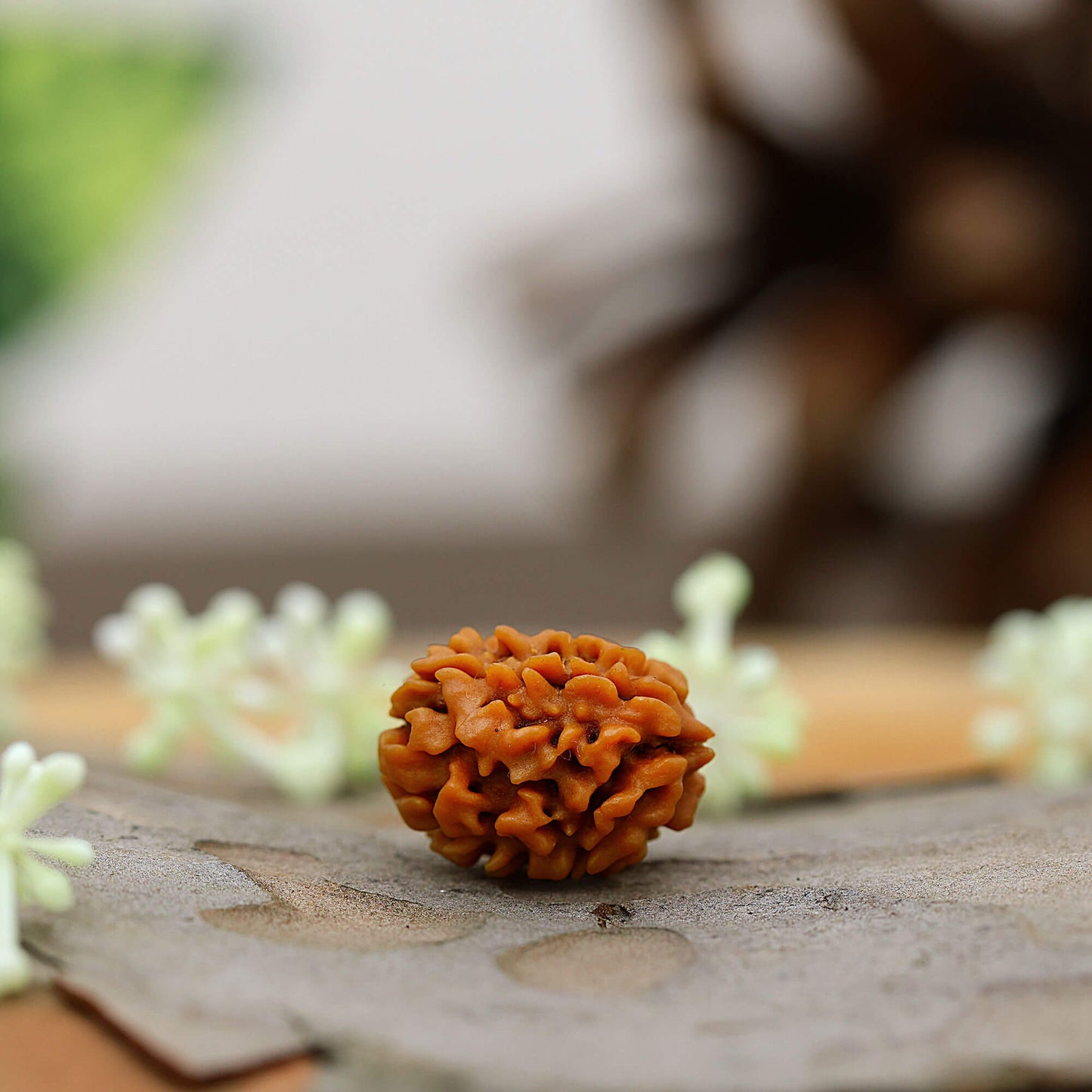 3 faces Rudraksha