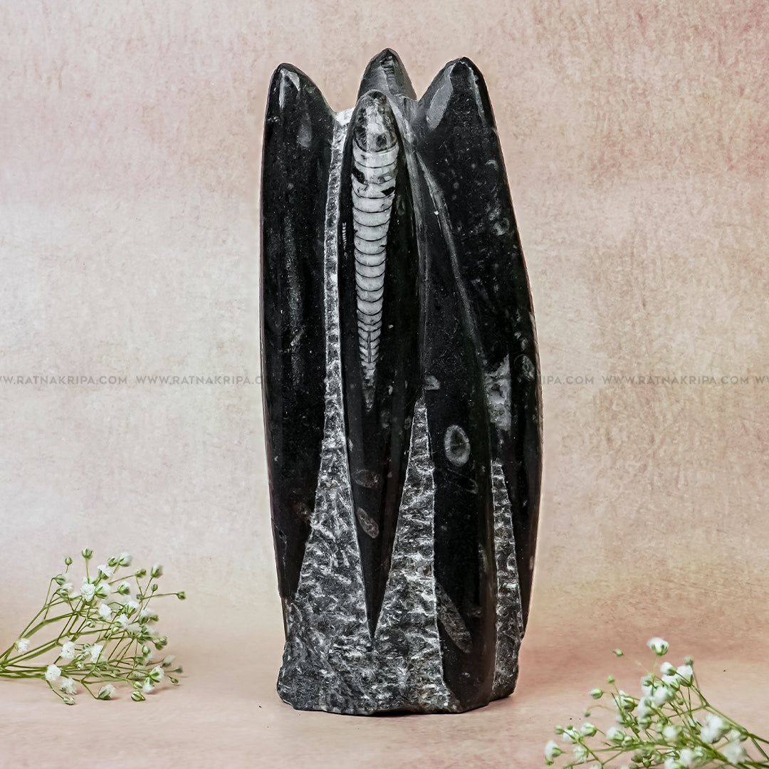 Premium Kuber Stone - 1.131 kg