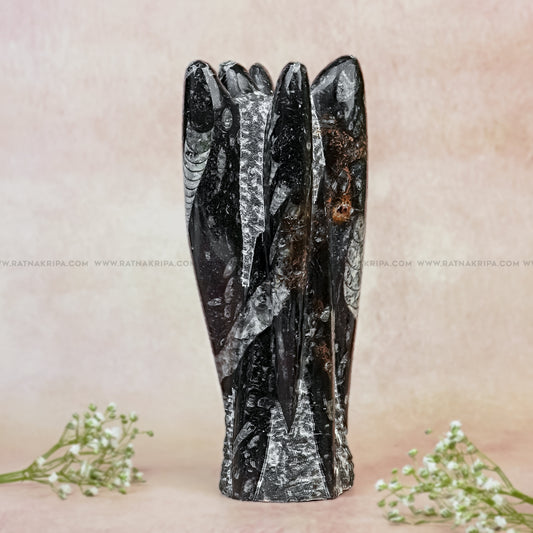 Premium Kuber Stone - 1.418 kg