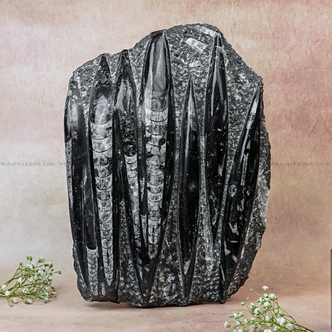 Premium Kuber Stone - 2.607 kg