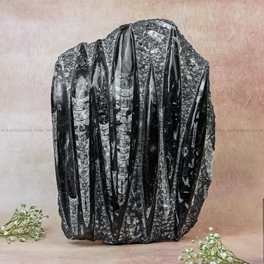 Premium Kuber Stone - 2.607 kg