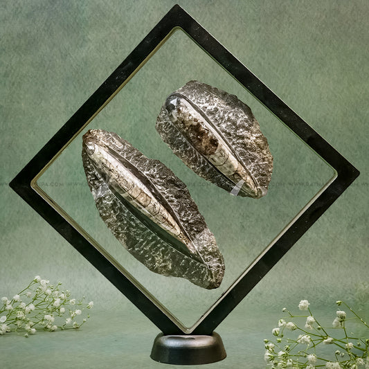 Premium Twin Kuber Stone - 231gm + 179gm