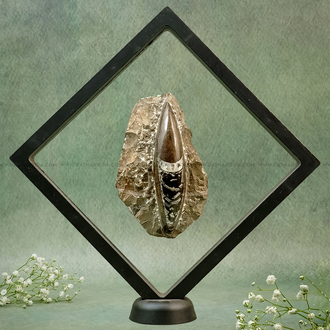 Premium Kuber Stone - 259gm