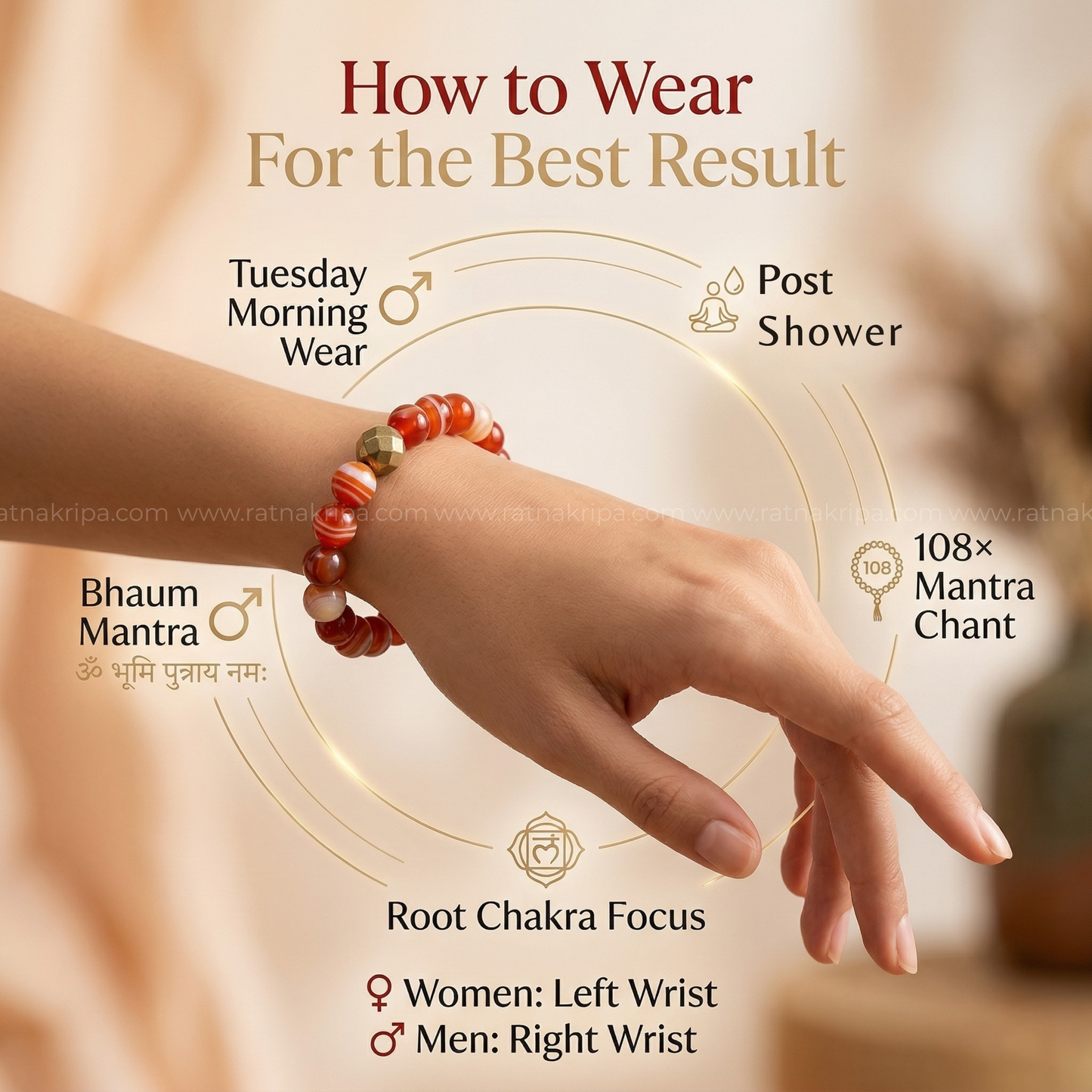 Red Sulemani Hakik Bracelet - For Courage and Confidence