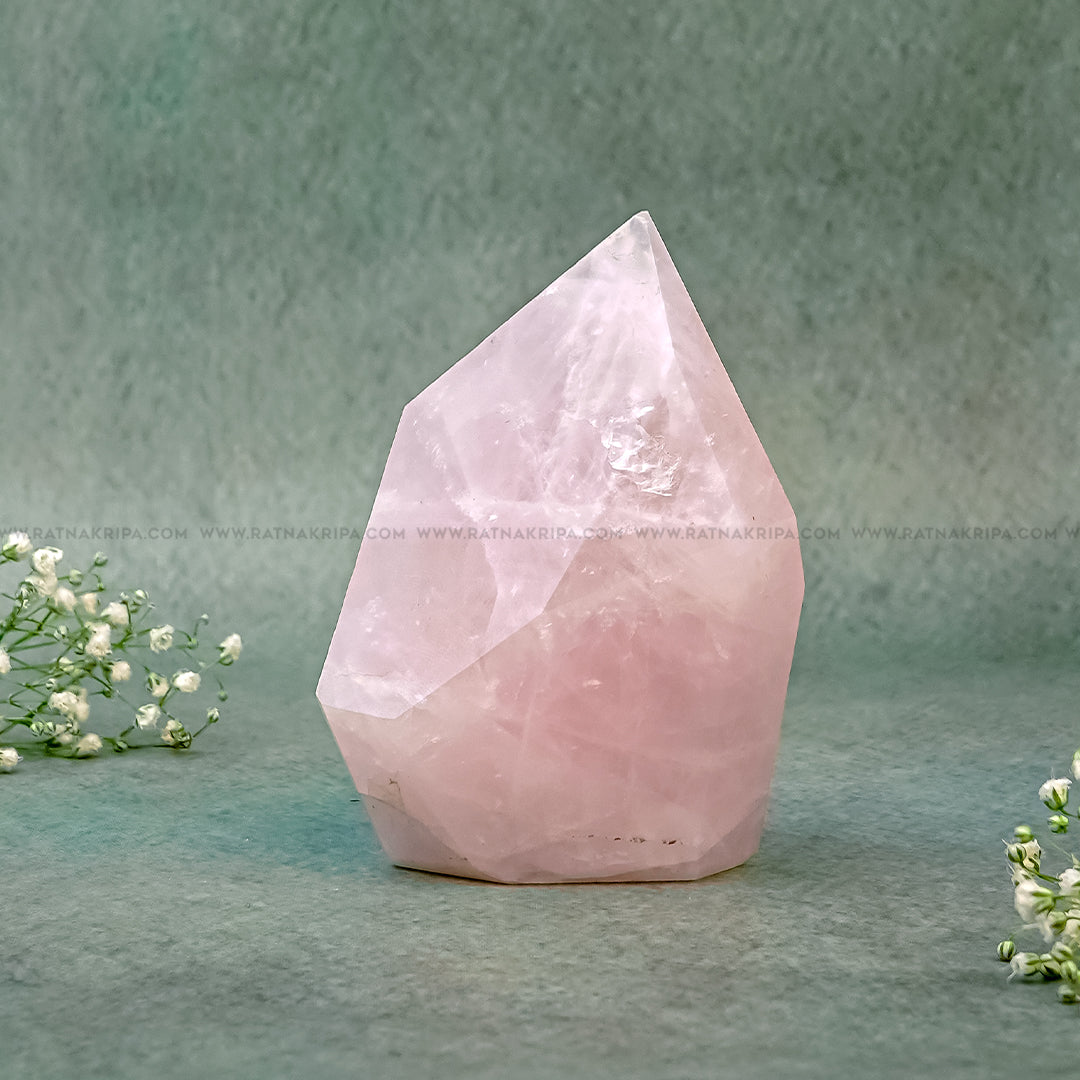 Rose Quartz - 251gm