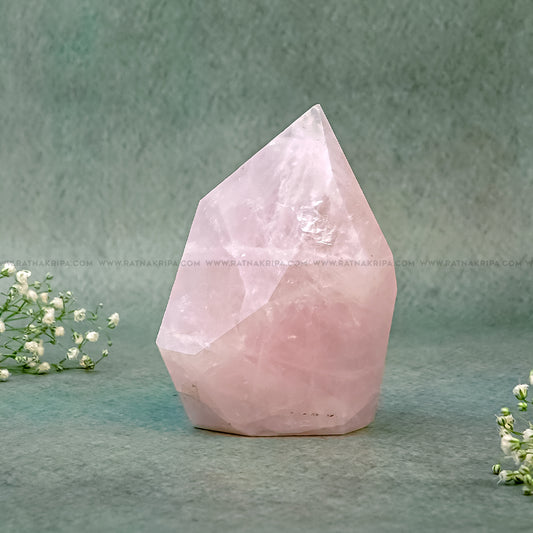 Rose Quartz - 251gm