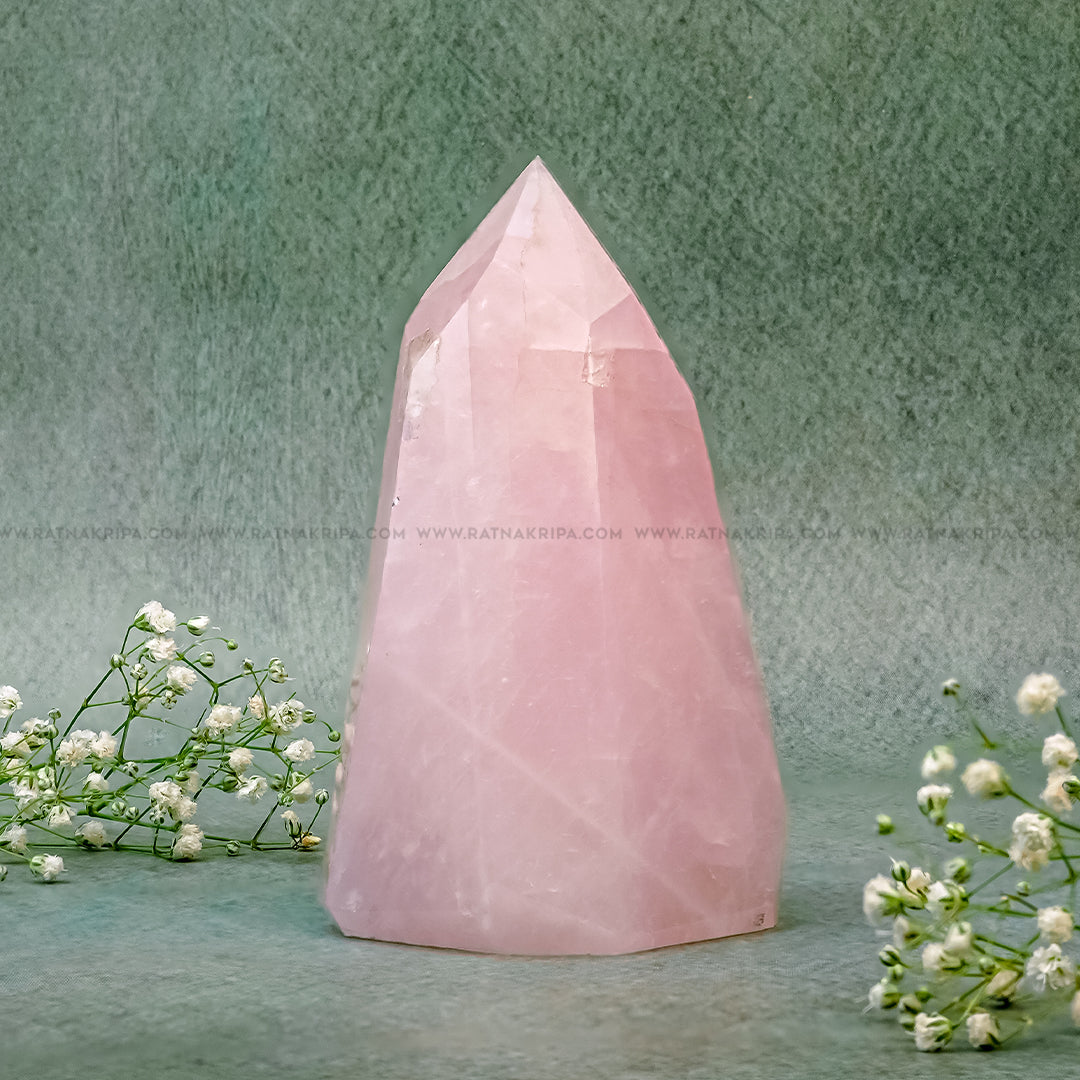 Rose Quartz - 326gm