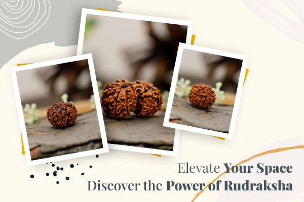 Rudraksha power